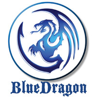 BlueDragon Critical Thinking and Complex Problem Solving Method logo, BlueDragon Critical Thinking and Complex Problem Solving Method contact details