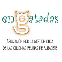 enGatadas logo, enGatadas contact details