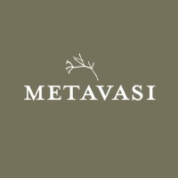 Metavasi Capital logo, Metavasi Capital contact details