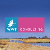 WWT Consulting logo, WWT Consulting contact details