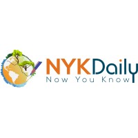 NYK Daily logo, NYK Daily contact details