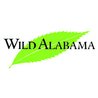 Wild Alabama logo, Wild Alabama contact details