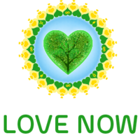 LOVE NOW logo, LOVE NOW contact details