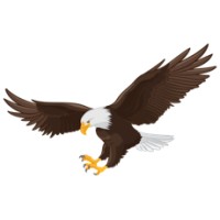 Capital Eagle Security.INC logo, Capital Eagle Security.INC contact details