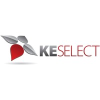 KE Select - Scientific & Medical Recruitment Partners logo, KE Select - Scientific & Medical Recruitment Partners contact details