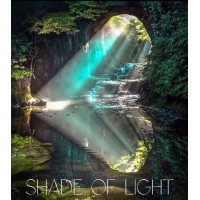 Shade of Light Counseling logo, Shade of Light Counseling contact details