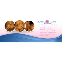 Picture Perfect Imaging logo, Picture Perfect Imaging contact details