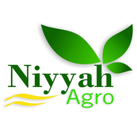 Niyyah Agro logo, Niyyah Agro contact details