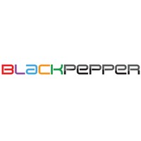 BlackPepper InfoServices Pvt Ltd logo, BlackPepper InfoServices Pvt Ltd contact details