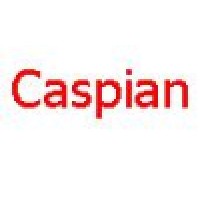 Caspian CM Consulting LLC logo, Caspian CM Consulting LLC contact details