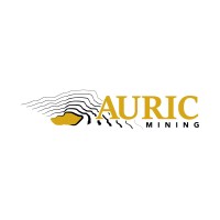 Auric Mining logo, Auric Mining contact details