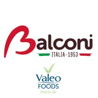 Balconi Spa logo, Balconi Spa contact details