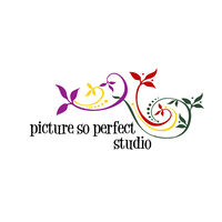 Picture So Perfect Studios logo, Picture So Perfect Studios contact details