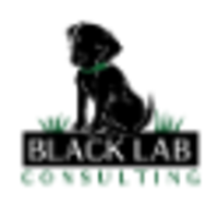 Black Lab Consulting logo, Black Lab Consulting contact details