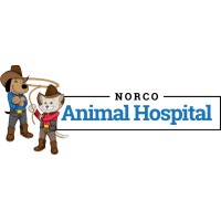 Norco Animal Hospital logo, Norco Animal Hospital contact details