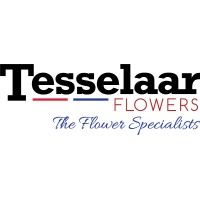 Tesselaar Flowers logo, Tesselaar Flowers contact details