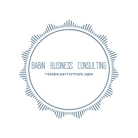 Babin Business Consulting logo, Babin Business Consulting contact details