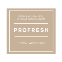 Profresh Floral Wholesaler logo, Profresh Floral Wholesaler contact details