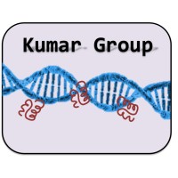 Kumar Lab Affinity Group logo, Kumar Lab Affinity Group contact details