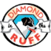 Diamond in the Ruff Dog Training logo, Diamond in the Ruff Dog Training contact details