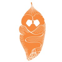 The Grief Cocoon logo, The Grief Cocoon contact details