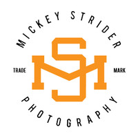 Mickey Strider Photography logo, Mickey Strider Photography contact details