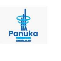 Panuka Collection Agency logo, Panuka Collection Agency contact details