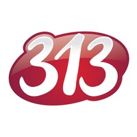 313 Group logo, 313 Group contact details