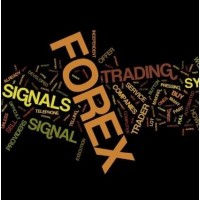 Financial Freedom with Forex - Tradera logo, Financial Freedom with Forex - Tradera contact details