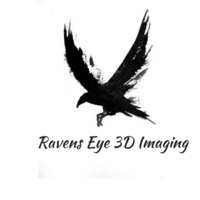 Ravens Eye 3D Imaging logo, Ravens Eye 3D Imaging contact details