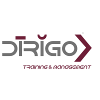 Dirigo Srl logo, Dirigo Srl contact details