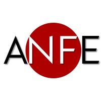 ANFE Consulting logo, ANFE Consulting contact details