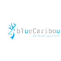 blueCaribou Chartered Accountants logo, blueCaribou Chartered Accountants contact details