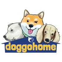 DOGGOHOME Cards logo, DOGGOHOME Cards contact details