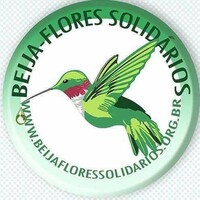 Projeto Beija Flores Solidarios logo, Projeto Beija Flores Solidarios contact details