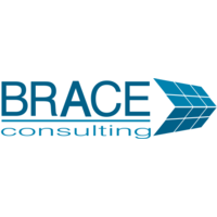 Brace Consulting logo, Brace Consulting contact details