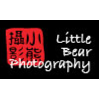 Little Bear Design logo, Little Bear Design contact details