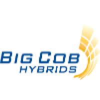 Big Cob Hybrids logo, Big Cob Hybrids contact details