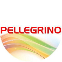 PELLEGRINO S.R.L. logo, PELLEGRINO S.R.L. contact details