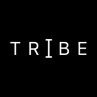 Tribe Creative Agency logo, Tribe Creative Agency contact details