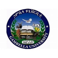 Gambella University logo, Gambella University contact details