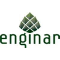 Enginar Gıda logo, Enginar Gıda contact details