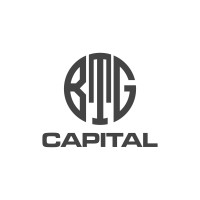 BTG CAPITAL INC logo, BTG CAPITAL INC contact details