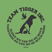 Team Tigger Inc. logo, Team Tigger Inc. contact details