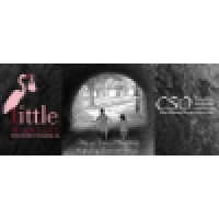 Canadian Surrogacy Options and Little Miracles logo, Canadian Surrogacy Options and Little Miracles contact details