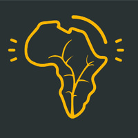 Young African Catalysts logo, Young African Catalysts contact details