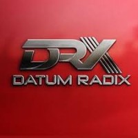 Datum Radix LLC logo, Datum Radix LLC contact details