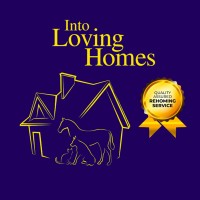 Into Loving Homes logo, Into Loving Homes contact details