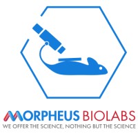 Morpheus Biolabs logo, Morpheus Biolabs contact details