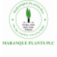 MARANQUE PLANTS PLC logo, MARANQUE PLANTS PLC contact details